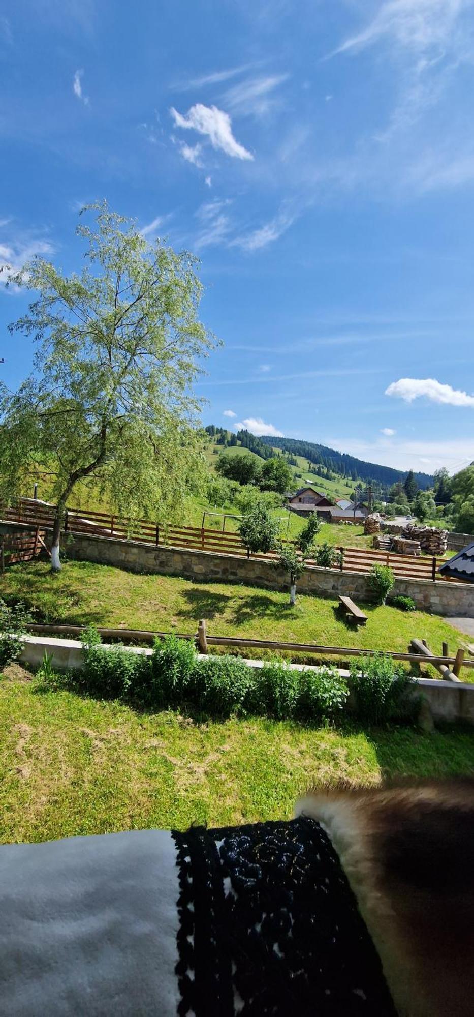 Casa Agroturistica Tarancuta Din Vatra Moldovitei Hotel Ngoại thất bức ảnh